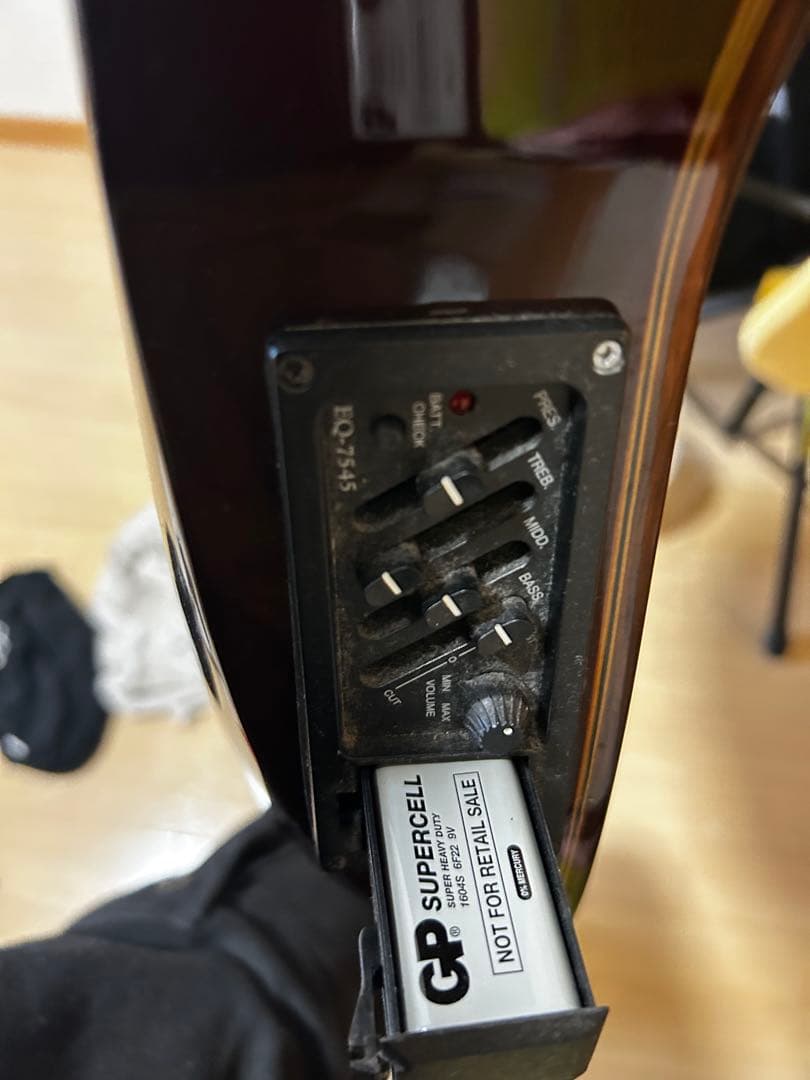 Alegre アコースティックギター　純正ピックアップ付