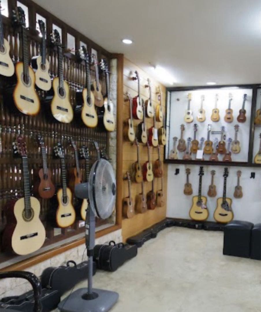 Alegre アコースティックギター　純正ピックアップ付