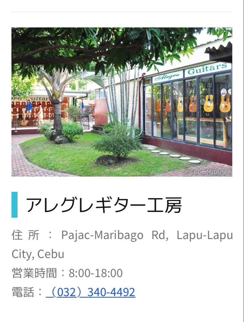 Alegre アコースティックギター　純正ピックアップ付