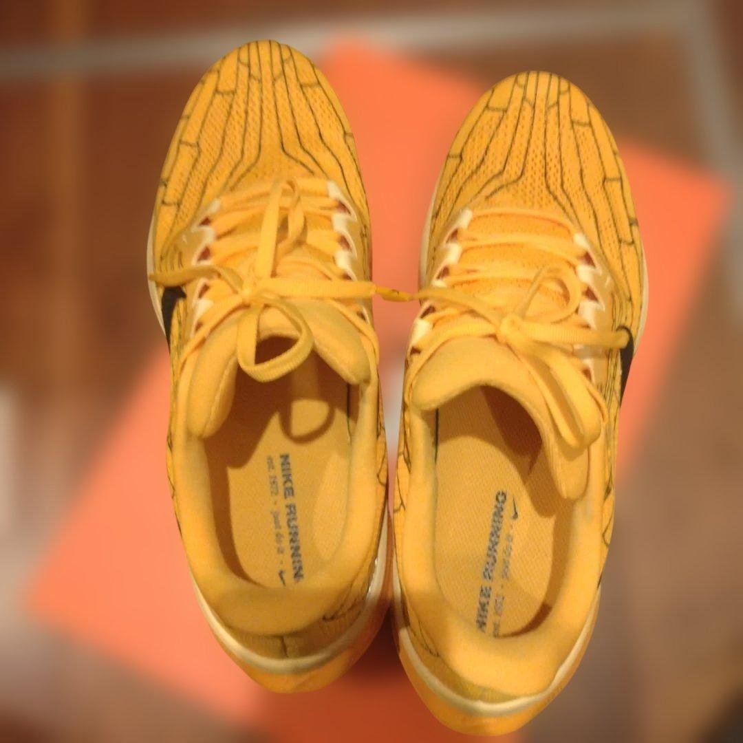 美品　ナイキ　ペガサス41 LV8　27.5cm　マラソンシューズ