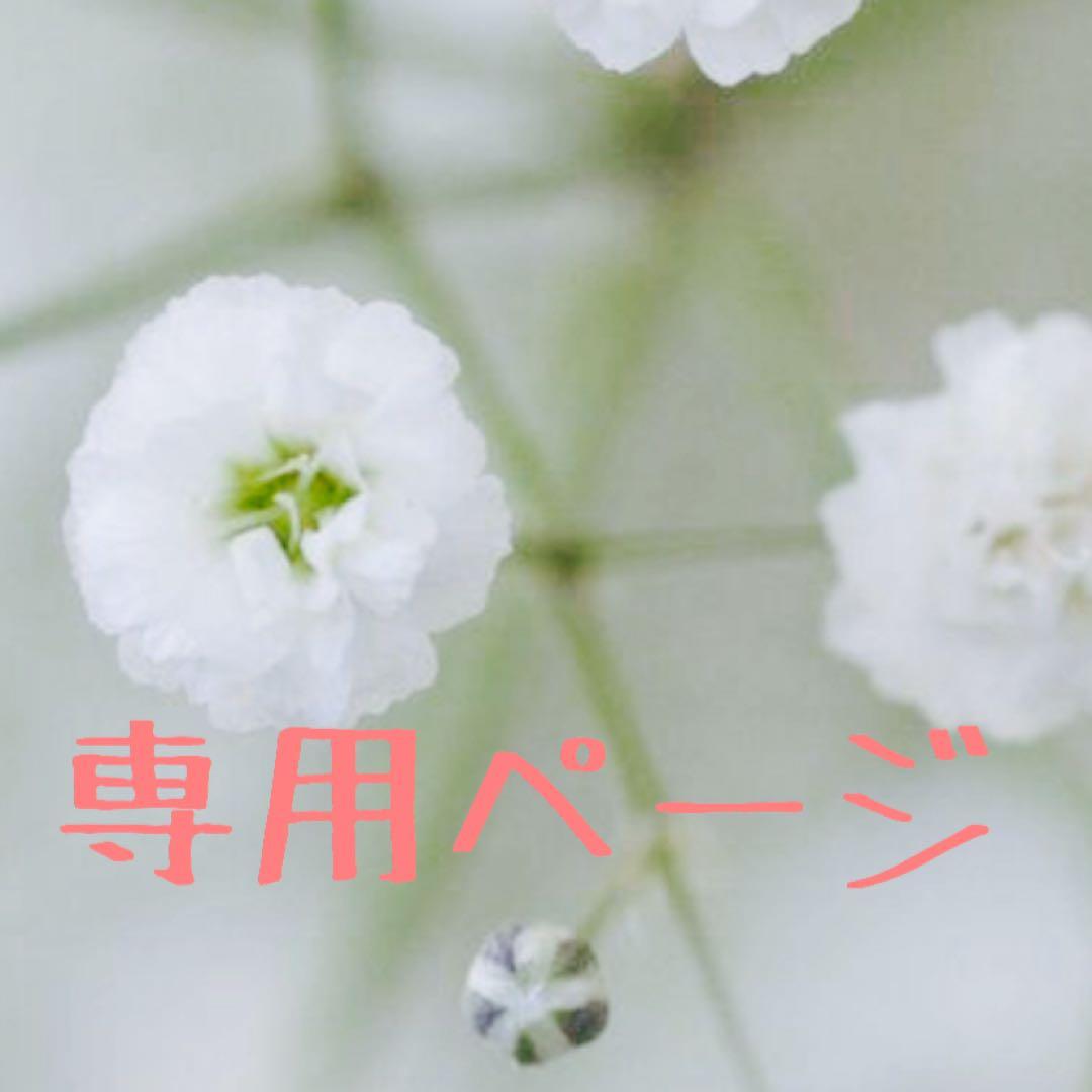 ご依頼者ページ　11点