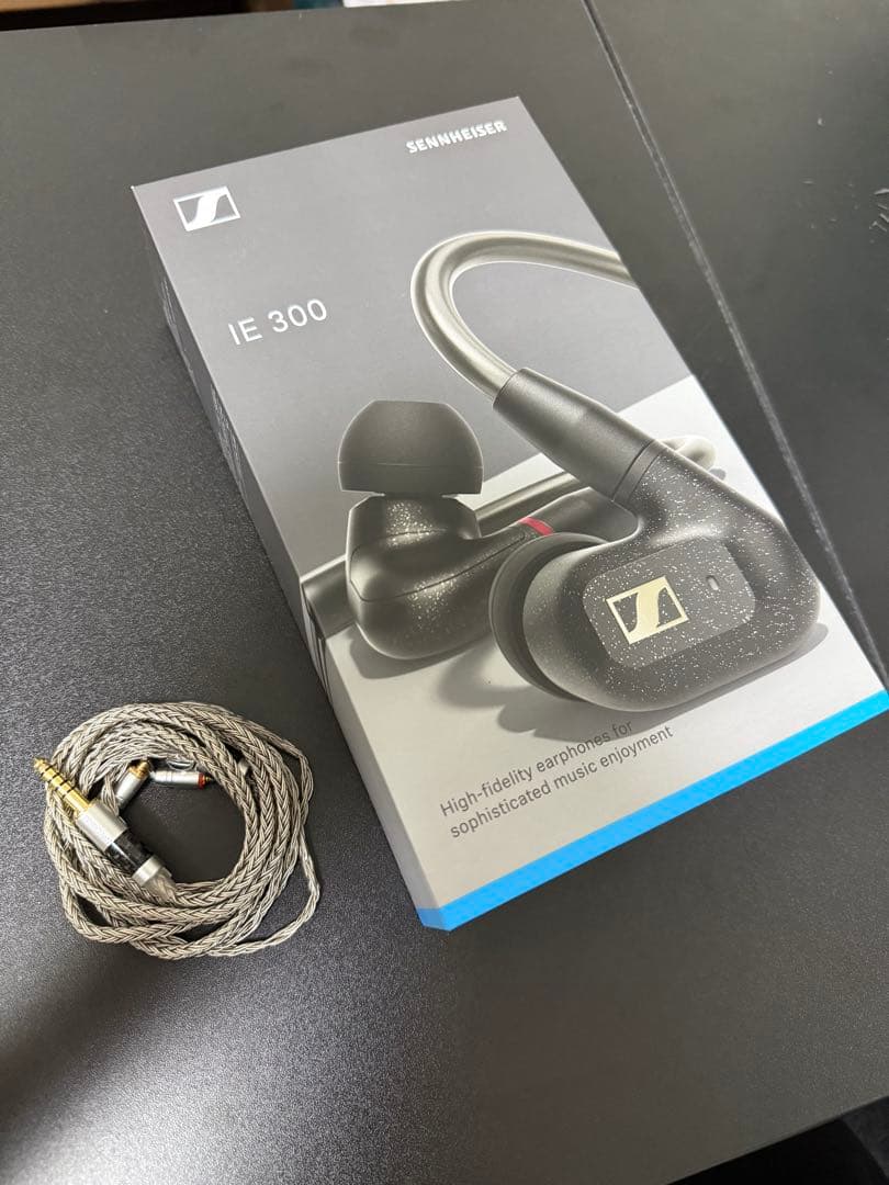 イヤホン SENNHEISER IE300