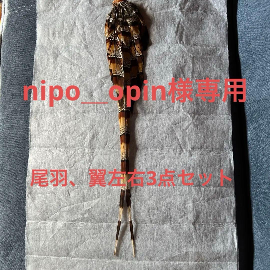 ヤマドリの羽　尾羽、翼左右の3点セット