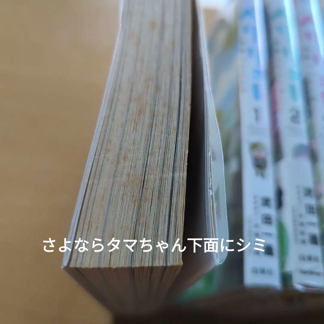 ペリリュー　全巻　外伝4冊付