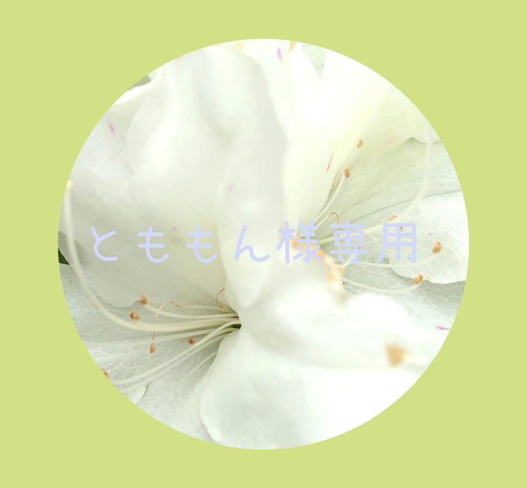 イラスト★専用ページ