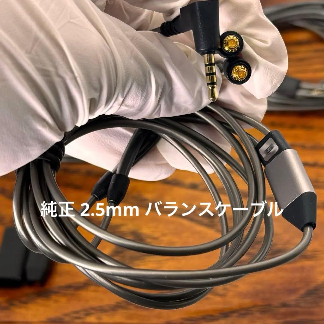 SENNHEISER IE 900 高音質 ハイエンド 有線イヤホン 2024年