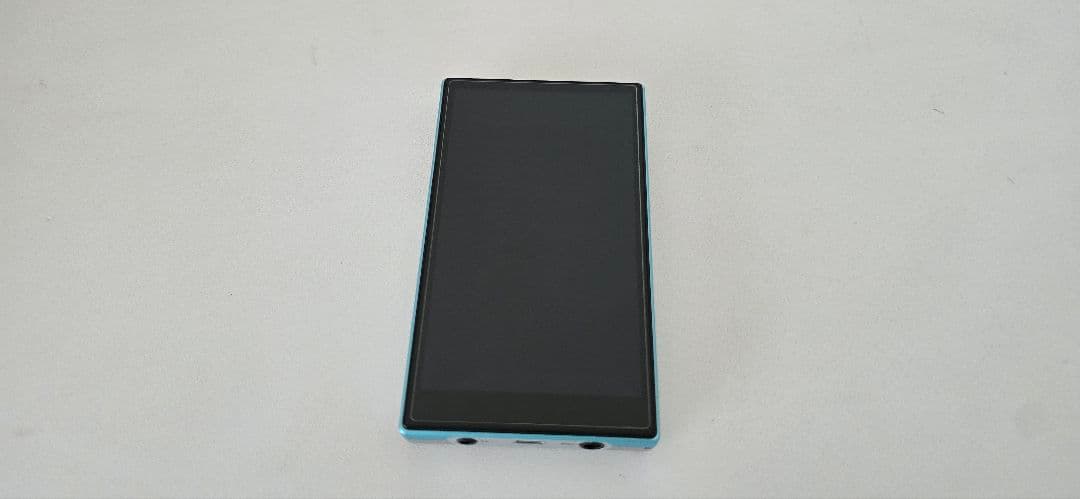 [美品・使用期間少なめ] FiiO JM21 ケース付き