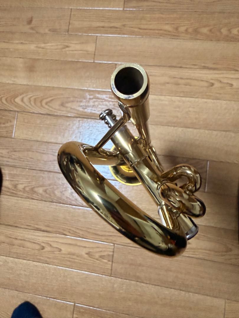 サクラ楽器 ソレイユstr1 単品 ケース付き