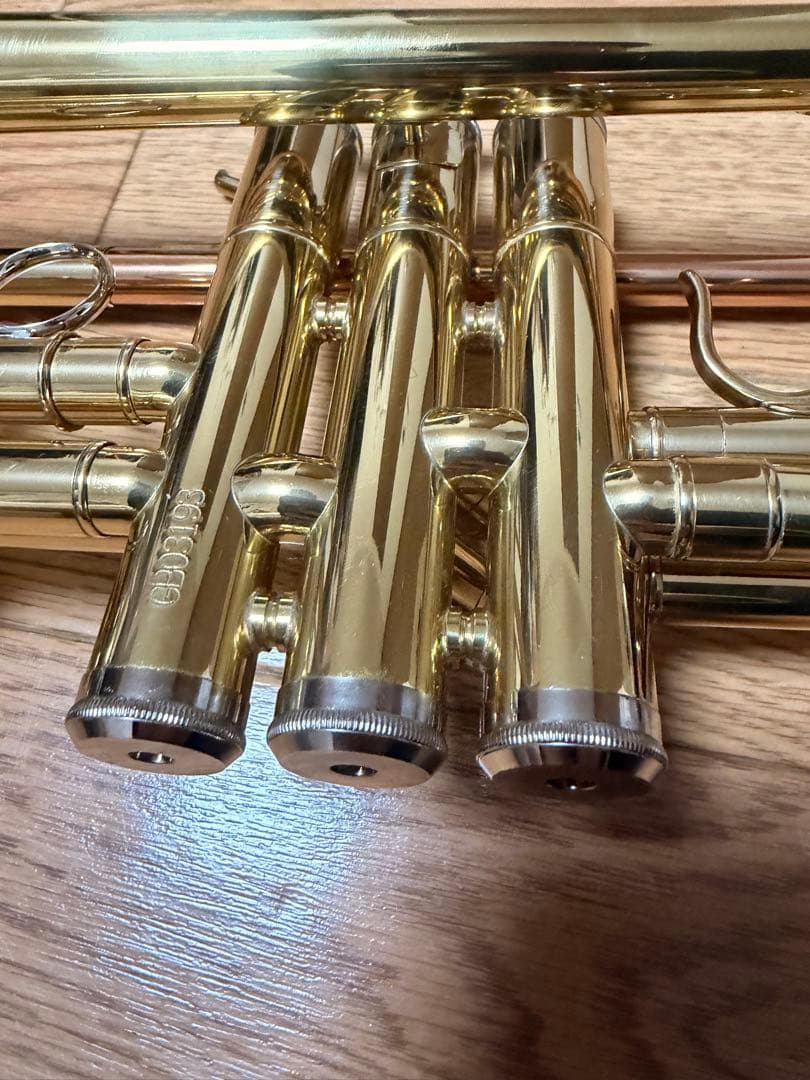 サクラ楽器 ソレイユstr1 単品 ケース付き