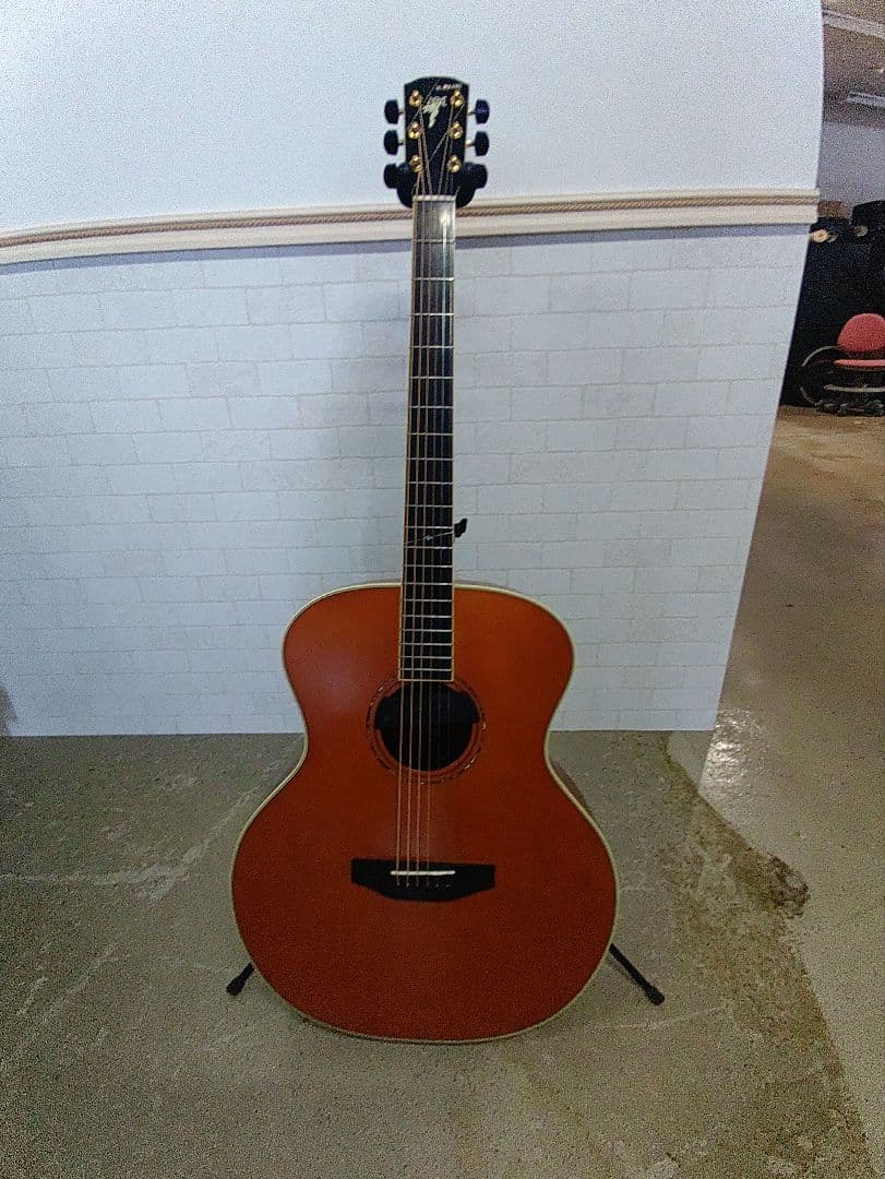 バリトンギター　カスタムオーダー