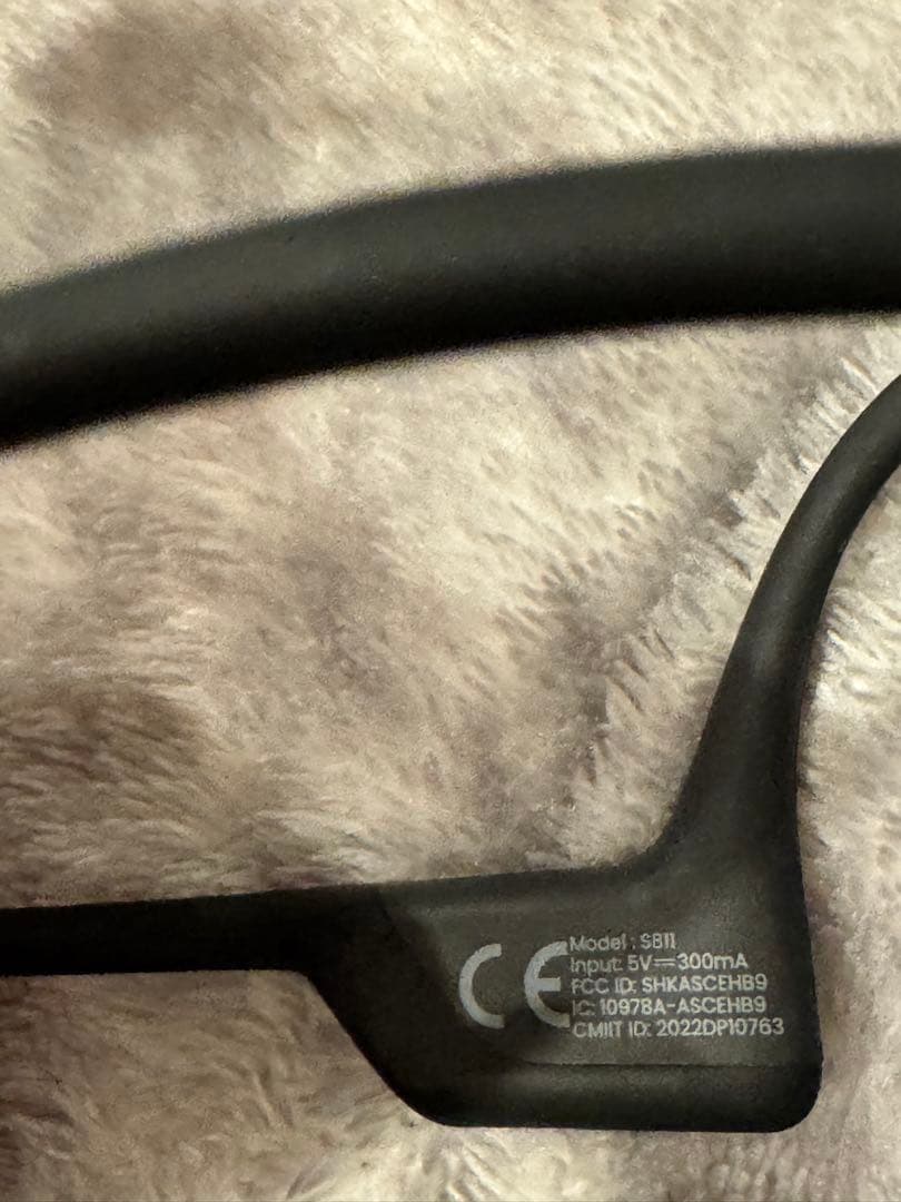 Shokz (ショックス) OpenRun Pro Mini 骨伝導イヤホン