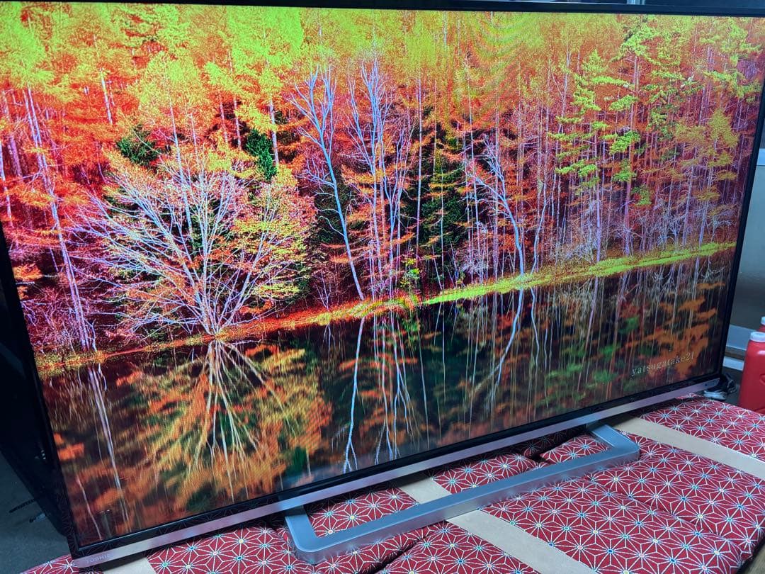 TOSHIBA LED REGZA 50G9 50型　超美品