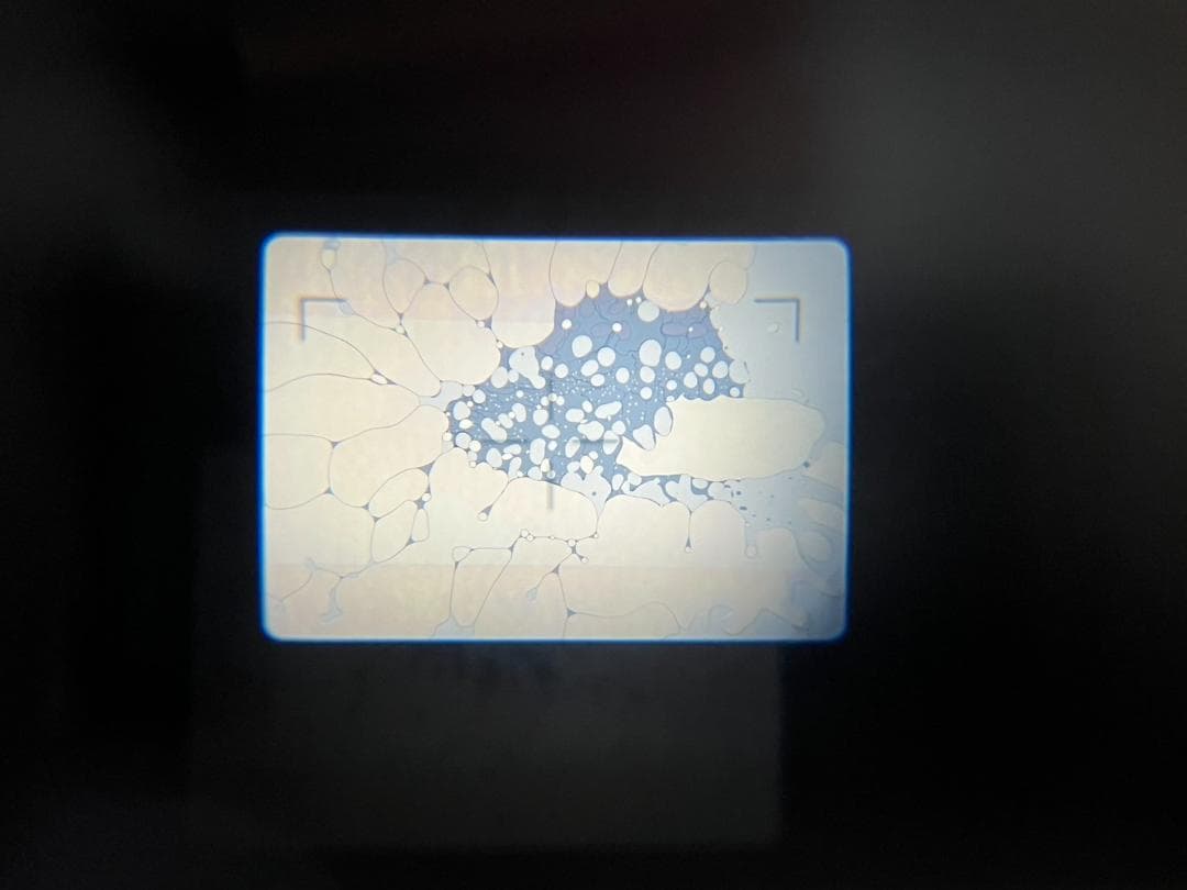 ゆな　オリンパス OLYMPUS MJU II