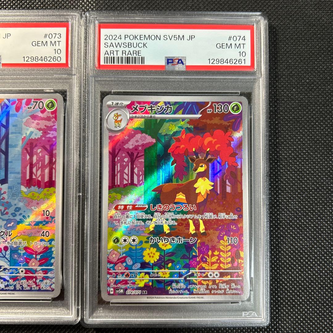 シキジカ　メブキジカ　AR PSA10 連番