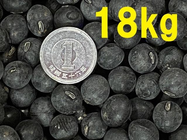 【新豆】R7年産 大粒 丹波黒系 黒大豆（愛知県産）１８kg　№318