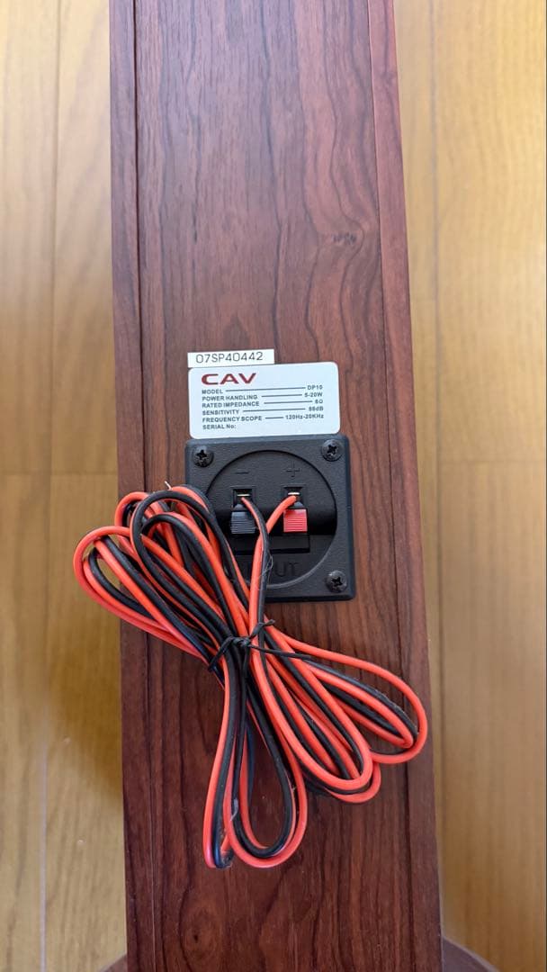 引き取り超破格！DP10 ウーハー SW256 CAV とトールボーイスピーカー