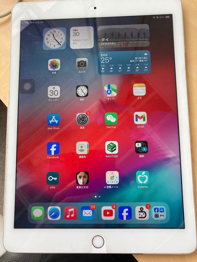iPad本体 iPad Pro 9.7 256GB