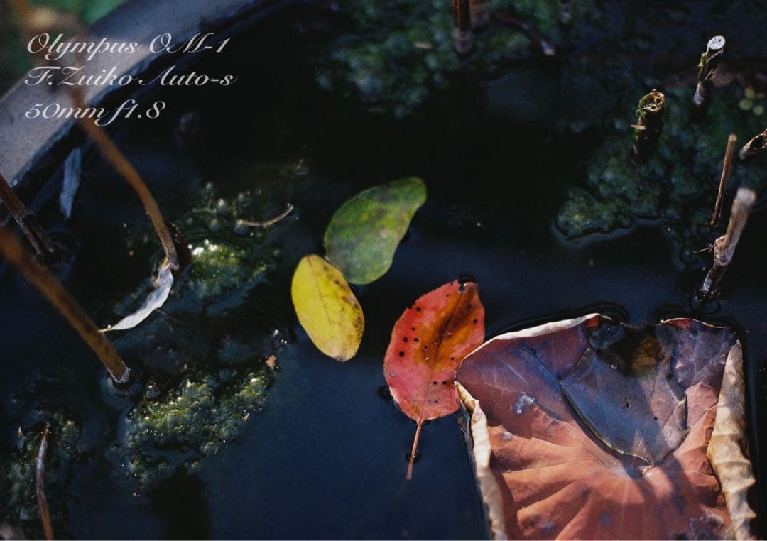 ★完動品＊美品＊初期保証付★OLYMPUS OM-1／f1.8レンズ★本革外装！