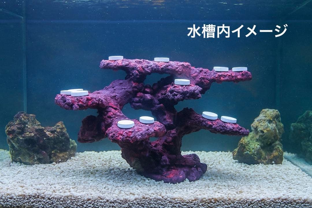 【送料無料】人工ライブロック　PHR20／12穴加工　アク抜き済み安心塗料使用