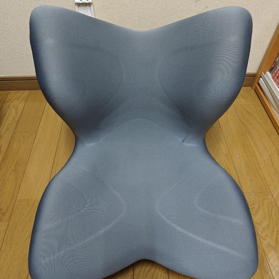 Style PREMIUM スタイル プレミアム【グレー】