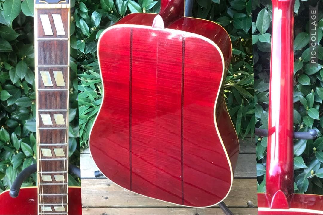 greco 303 DOVE グレコ フジゲン