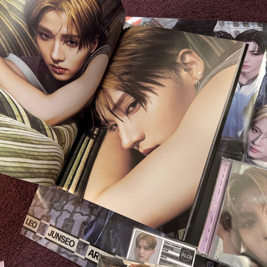 ALD1 サンウォントレカ アルバム セット