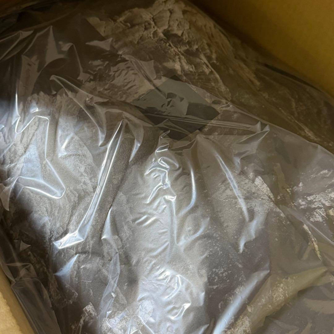 バッグ rofmia Carryology Leather Daypack V2