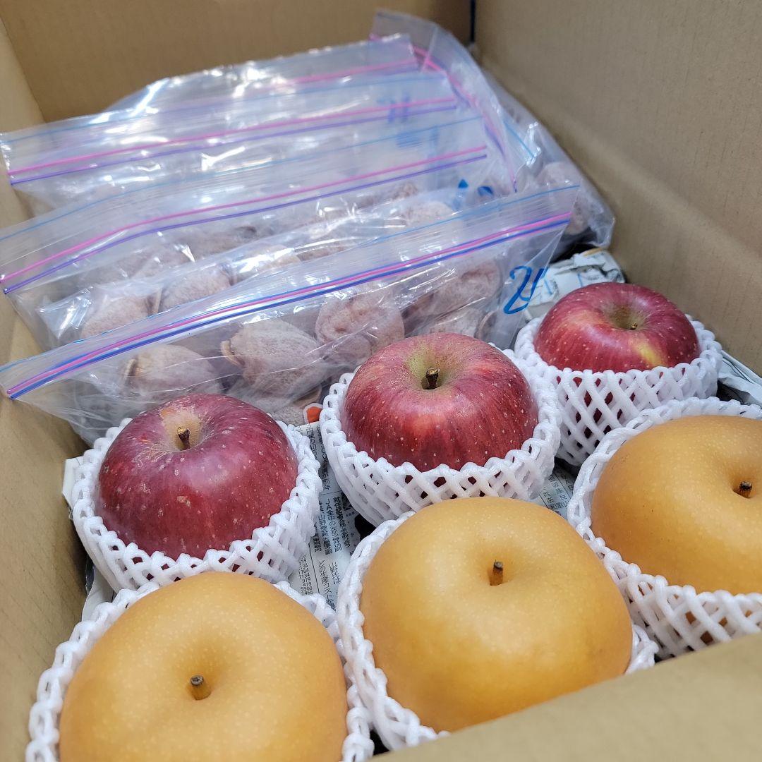 市田柿2L袋5袋 たくさん欲しい方