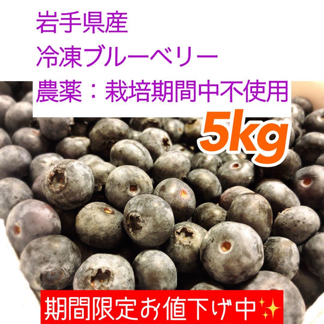 【値下げ中】岩手県産 ブルーベリー 冷凍 5kg