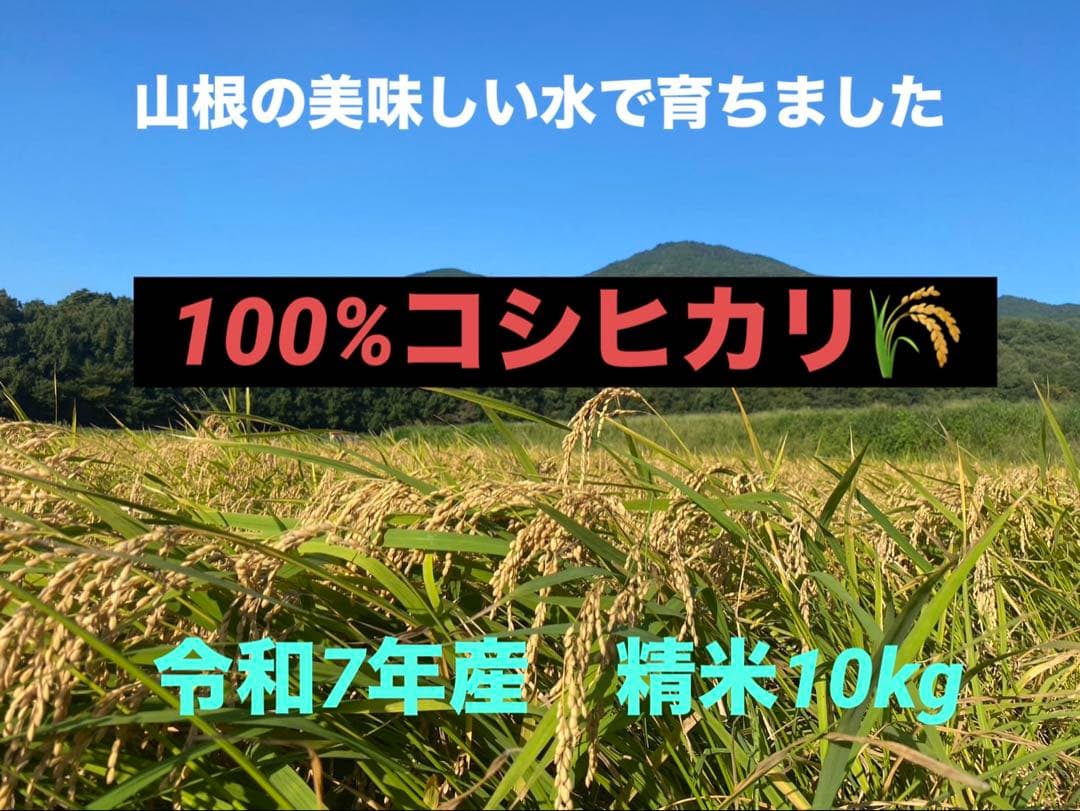 令和7年度産　コシヒカリ