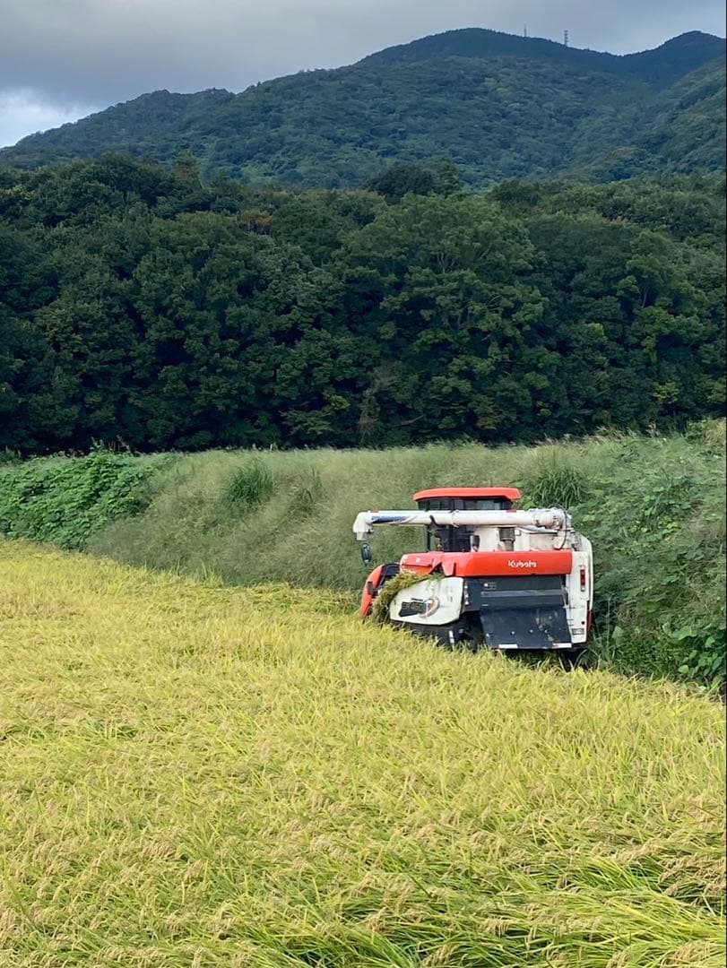 令和7年度産　コシヒカリ