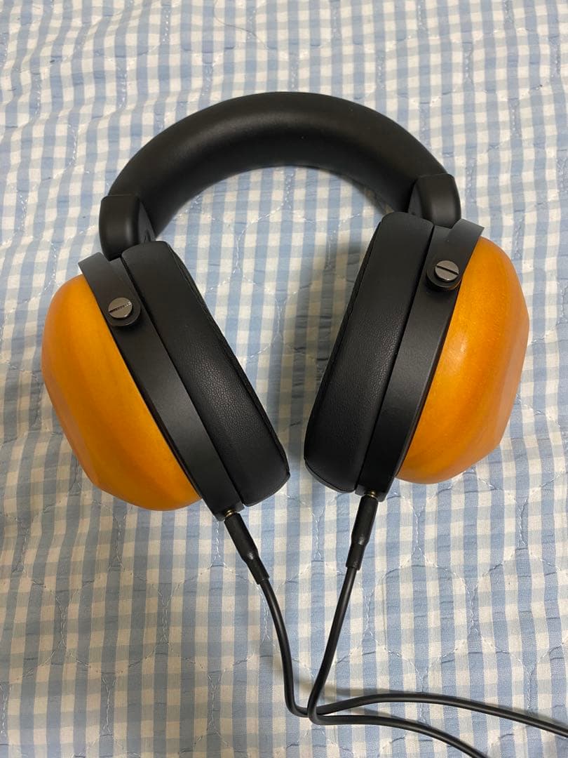 HIFIMAN HE-R10D 有線バージョン