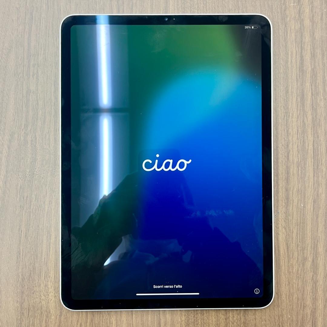 N*ê様 動作確認済み iPad Pro 11インチ 第2世代 128GB ID