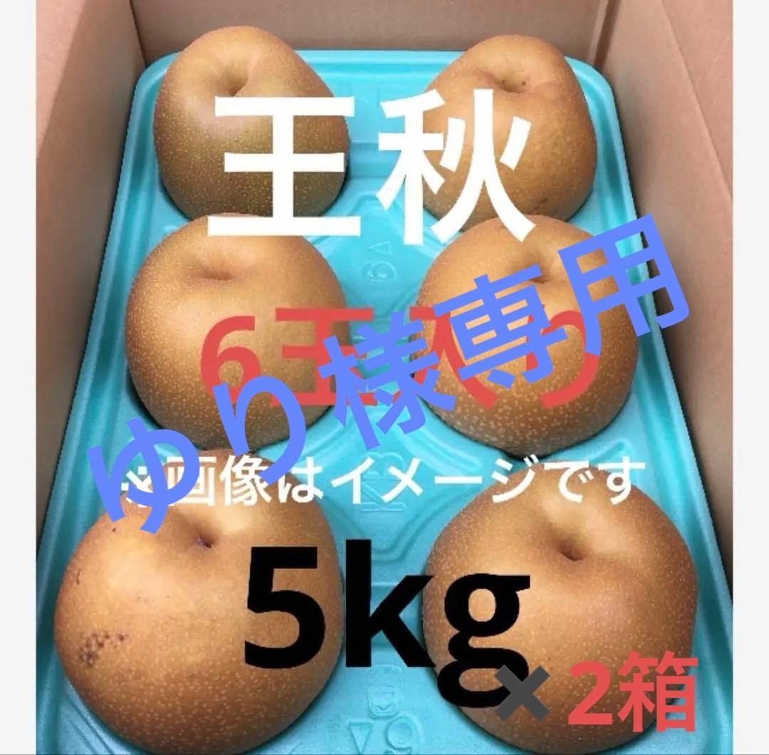 ゆり　ご家庭用 王秋梨 6玉入り 5玉入り １箱ずつ