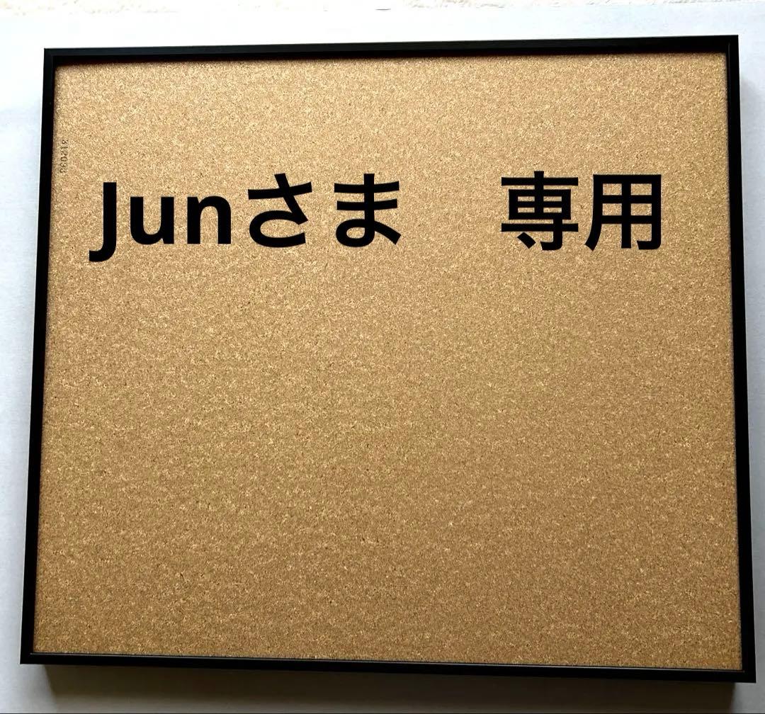 富士アルミ写真額全紙