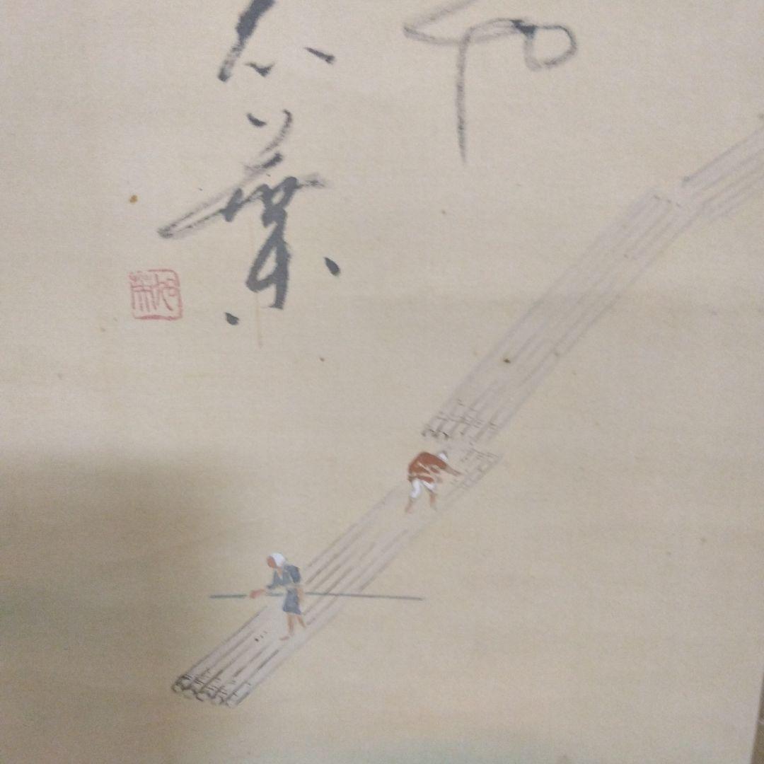 しろちゃん嵐峡 掛軸 画賛 桐箱 信楽瑞峯水指 松香花兎茶碗