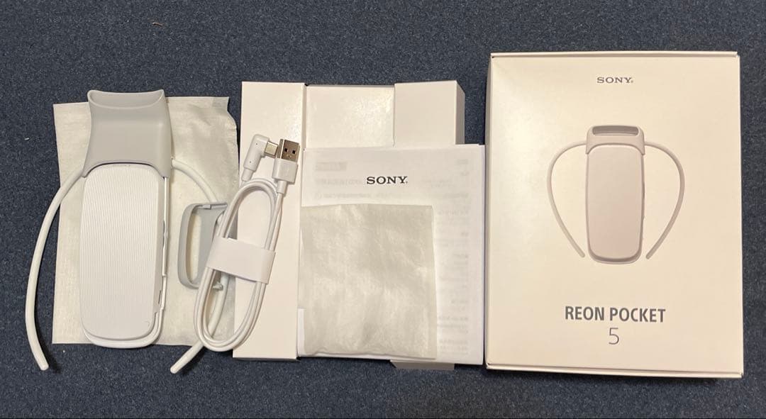 SONY REON POCKET5本体 TAG(別売り品)専用ポーチ(別売り品)