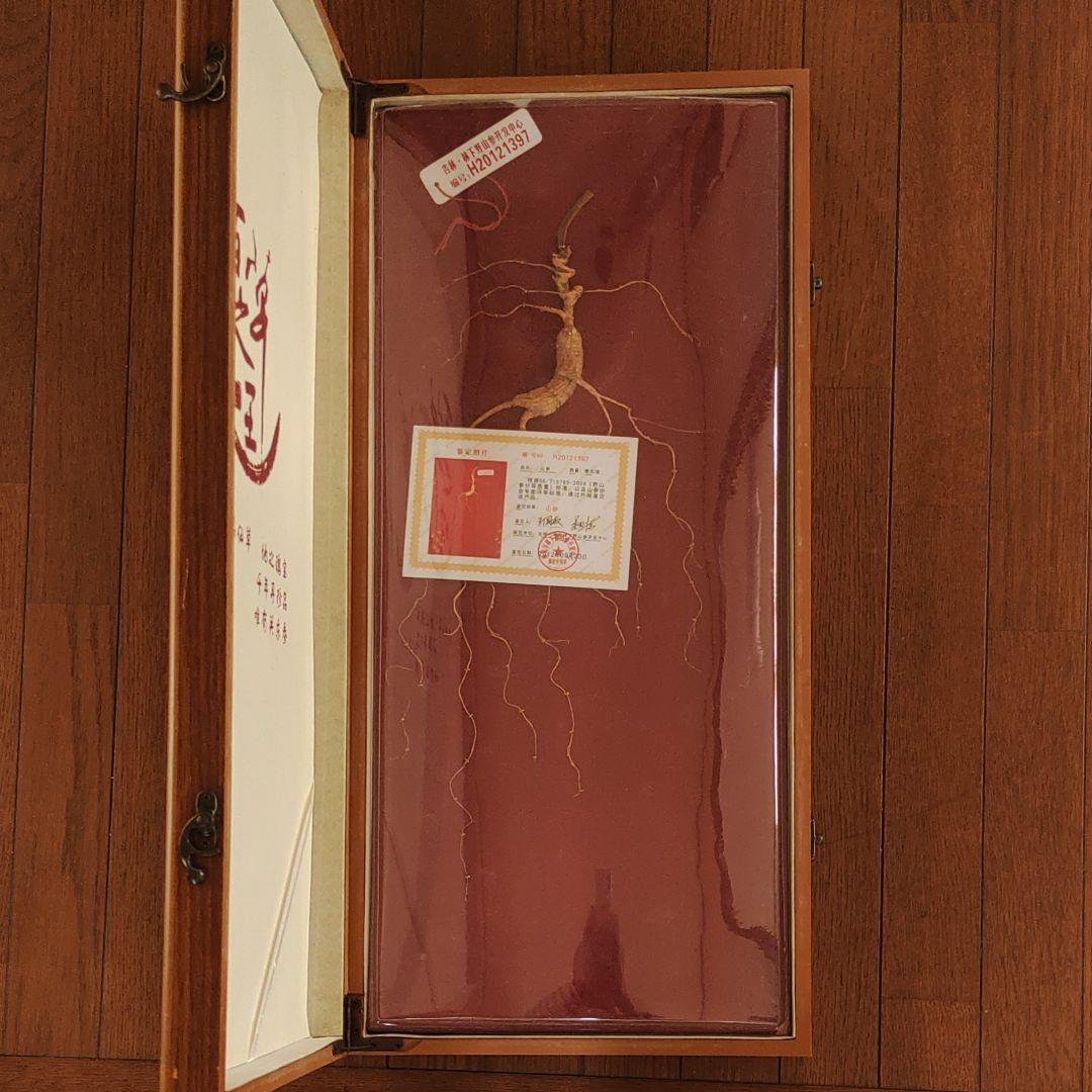 最終値下げ　希少漢方薬材貴重品　中国吉林省天然野山参高級唐木共箱付き　鑑定書付き