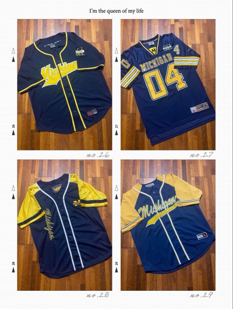 【赤字！激安価格】Michigan ミシガン14点セット