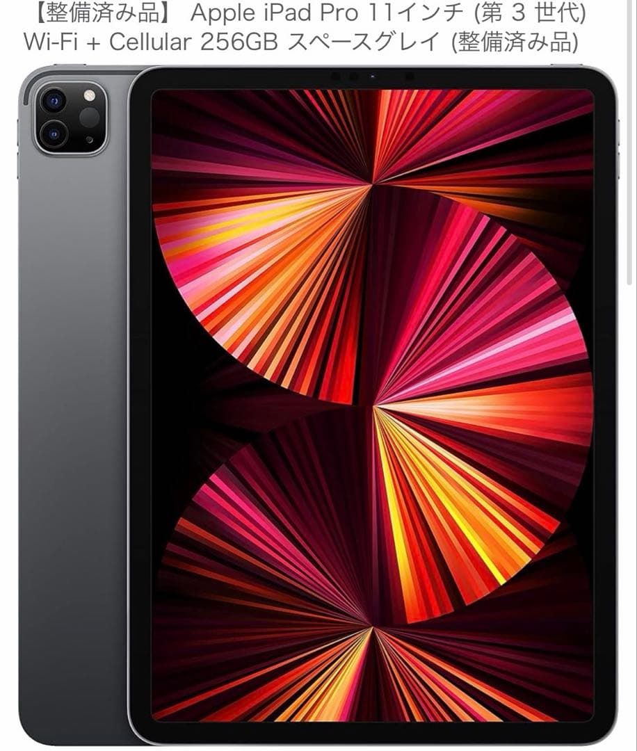 限定保証 iPadPro11第3世代+Applepencil第2世代