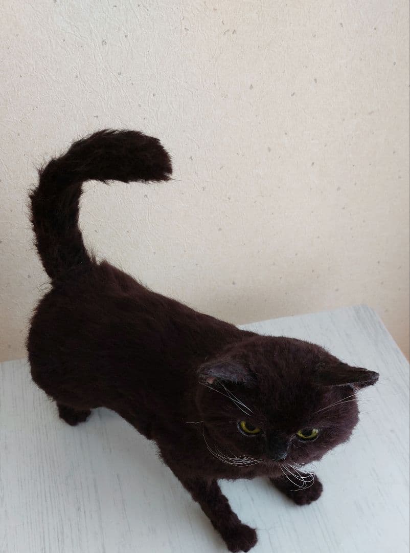 羊毛フェルト　猫(黒猫)