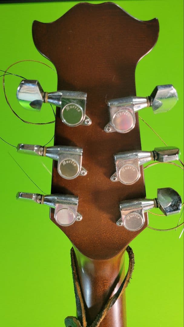 モーリス エレアコギターTornado Z動作品