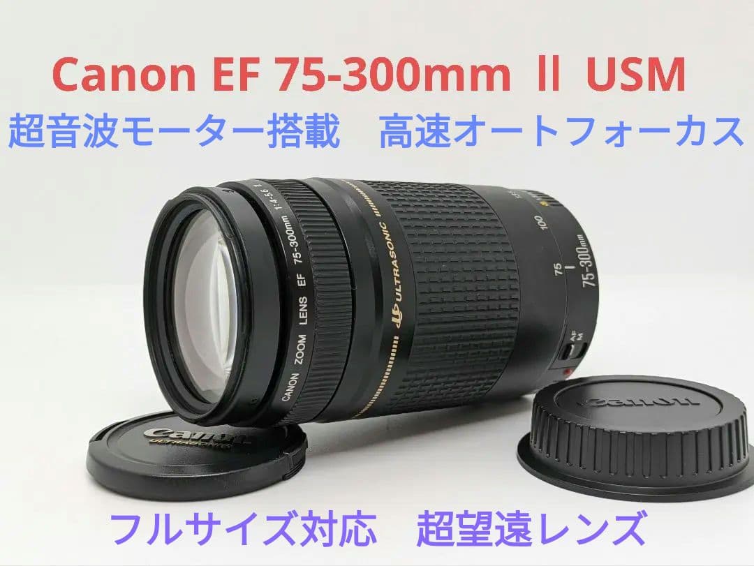 11月30日限定【超望遠レンズ】Canon EF 75-300mm Ⅱ USM