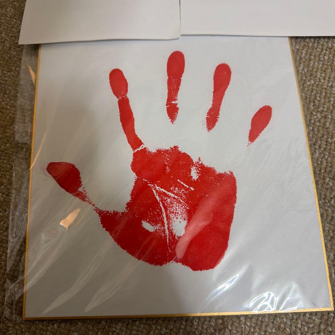 【激レア】GARNiDELiA うたものがたり　メイリア 手型