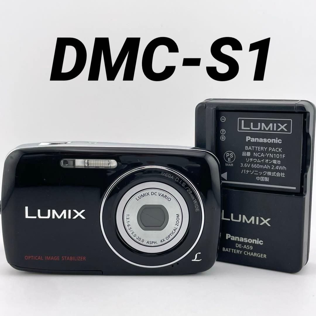 実写⭕️【動作確認済み】Panasonic LUMIX S DMC-S1