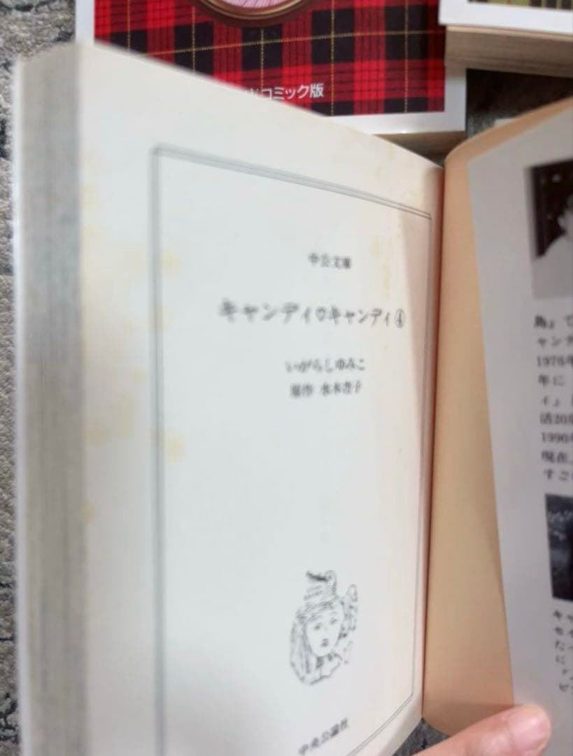 文庫版 キャンディキャンディ 全巻セット 箱入り