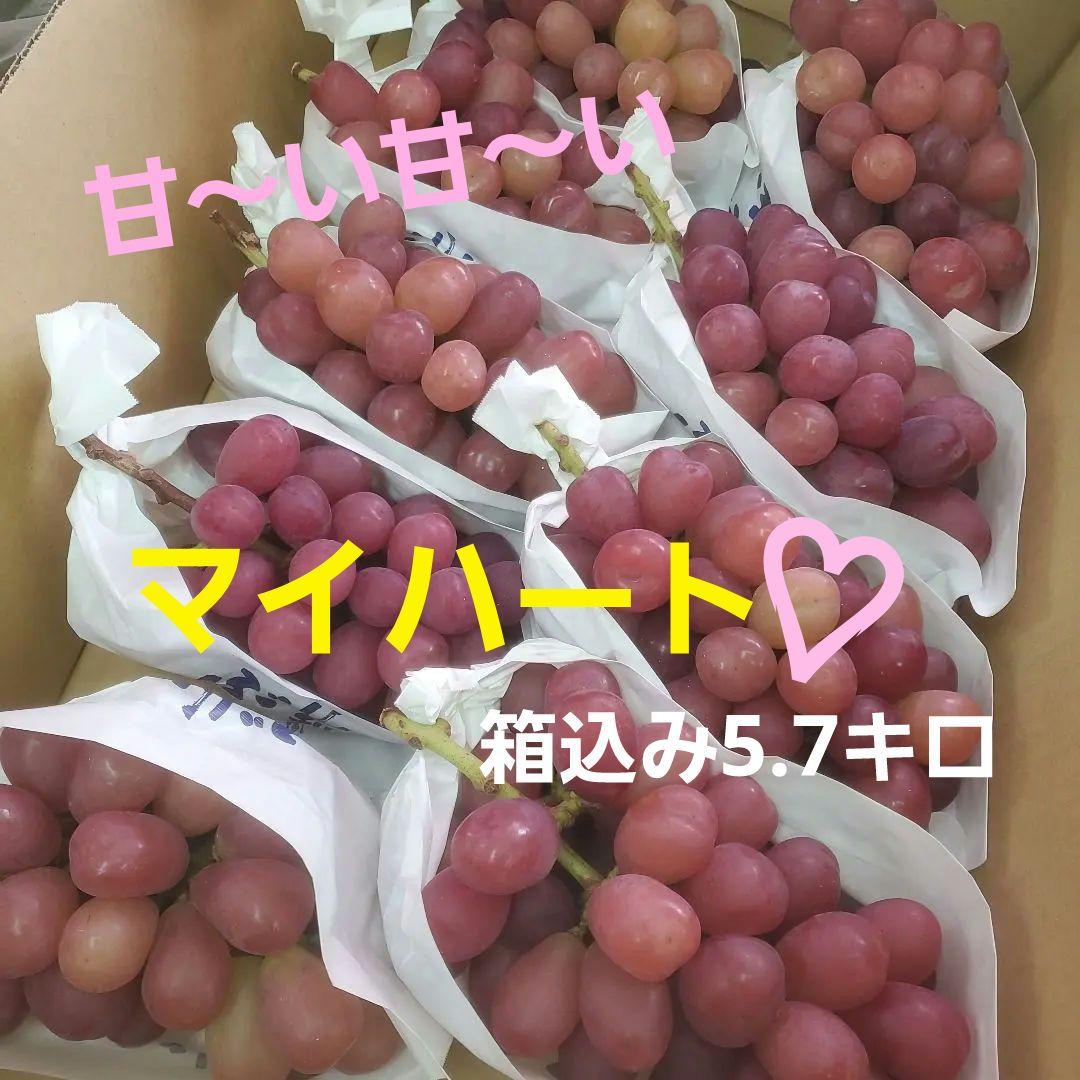 1⃣0️⃣山梨県産 マイハート ９房入り 箱込み5.7キロ