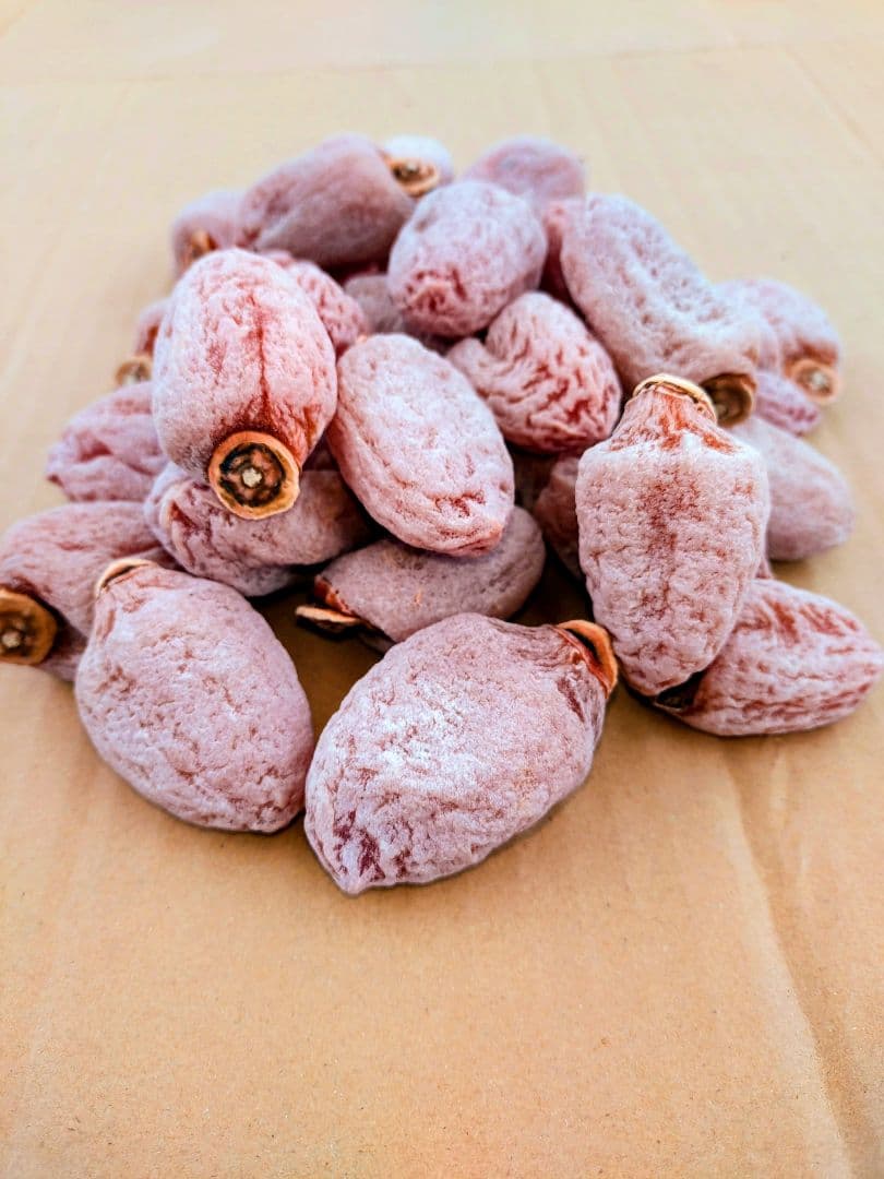 干し柿　5キロ　ms9b5s69gpwx35