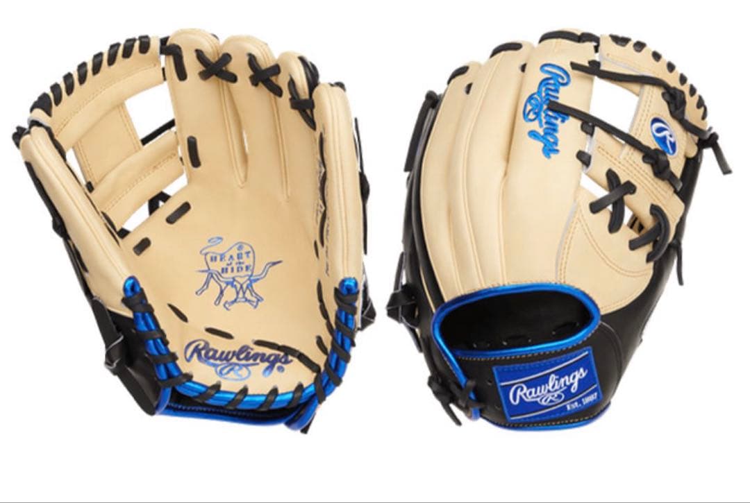 Rawlings ローリングス 野球グローブ 硬式　日本未発売