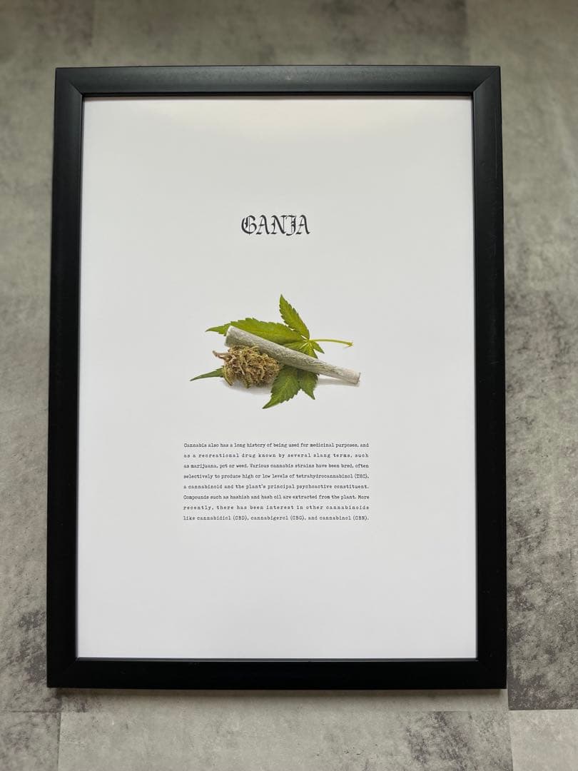 MACCHO †13† さん用　フレーム無しセット